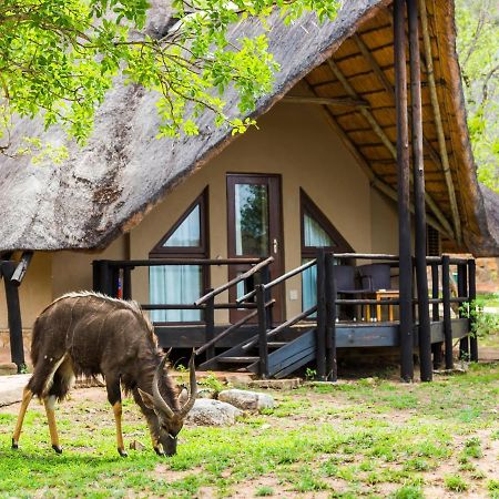 Aha Bongani Mountain Lodge Luphisi Zewnętrze zdjęcie
