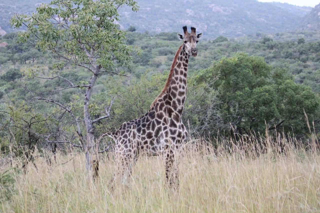Aha Bongani Mountain Lodge Luphisi Zewnętrze zdjęcie