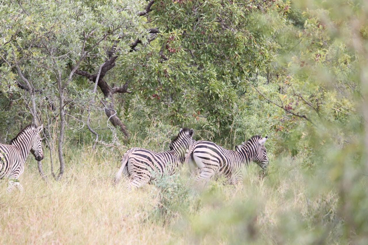 Aha Bongani Mountain Lodge Luphisi Zewnętrze zdjęcie