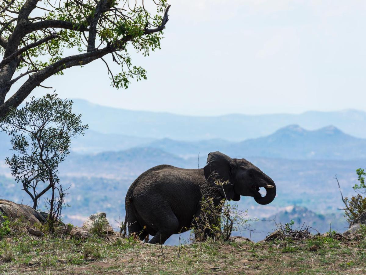 Aha Bongani Mountain Lodge Luphisi Zewnętrze zdjęcie