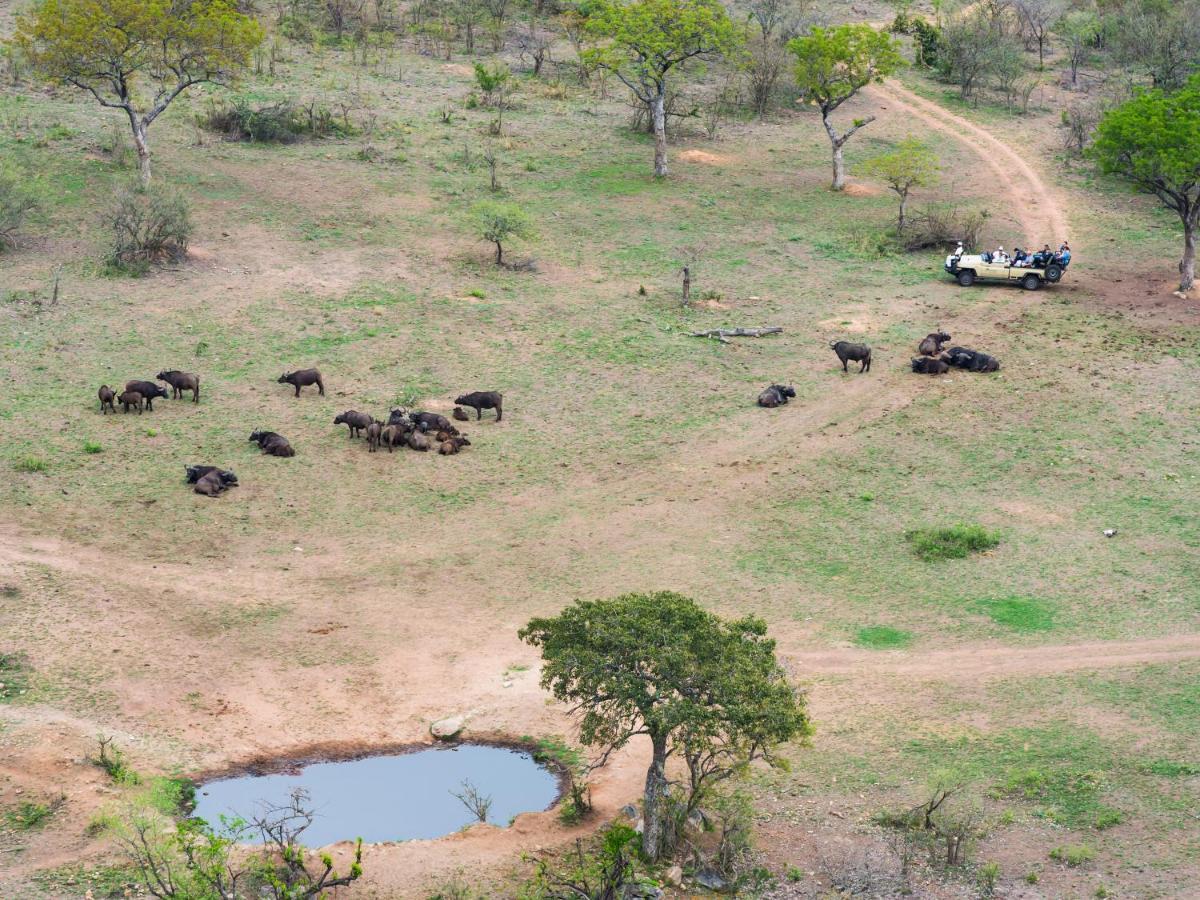 Aha Bongani Mountain Lodge Luphisi Zewnętrze zdjęcie