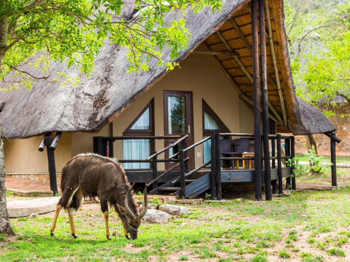 Aha Bongani Mountain Lodge Luphisi Zewnętrze zdjęcie